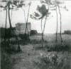 1920-1921 ca. - Tristezza maremmana